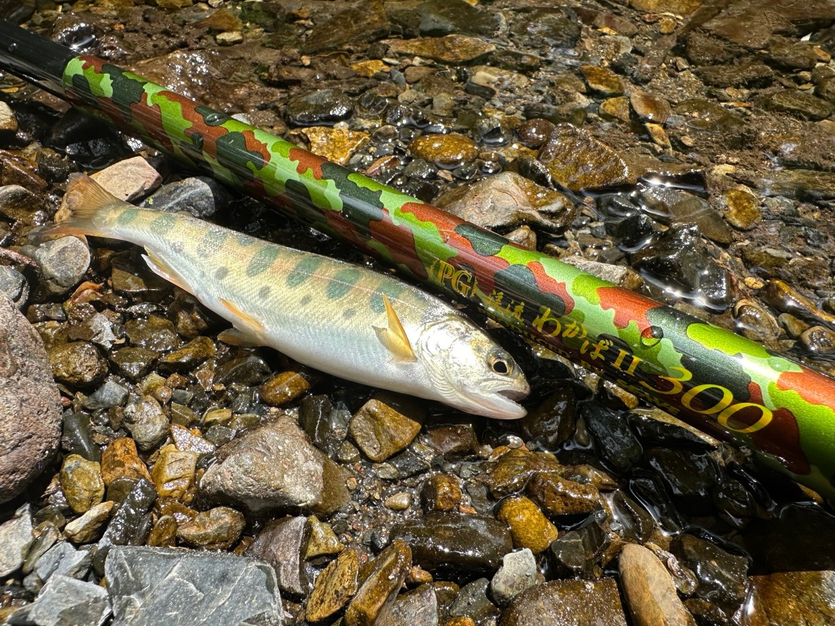 トラウト釣り初心者が最初に揃える道具一式4選