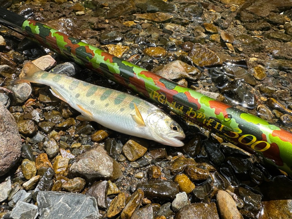 トラウト釣り初心者が最初に揃える道具一式4選